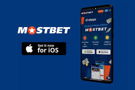 Обзор компании Mostbet Gambling Enterprise 2024: вход в систему, бесплатные ротации, отсутствие льгот по первоначальному взносу